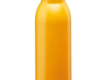 Alaaddin Chilled Thermavac Water Bottle 0.55L Hot on Sale